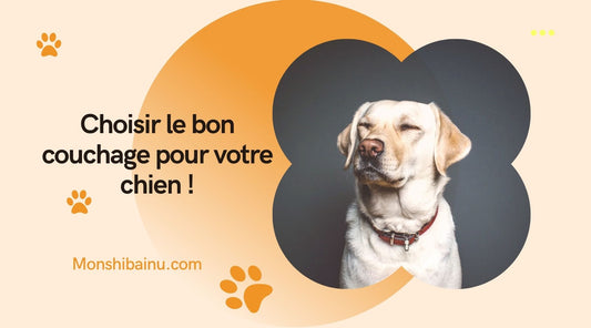 couchage-chien