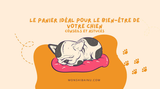 panier-chien