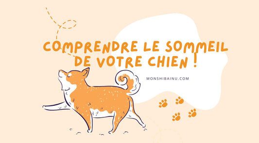 Combien de temps dort un chien ?