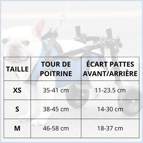 Chariot-pour-chien-handicapé_taille