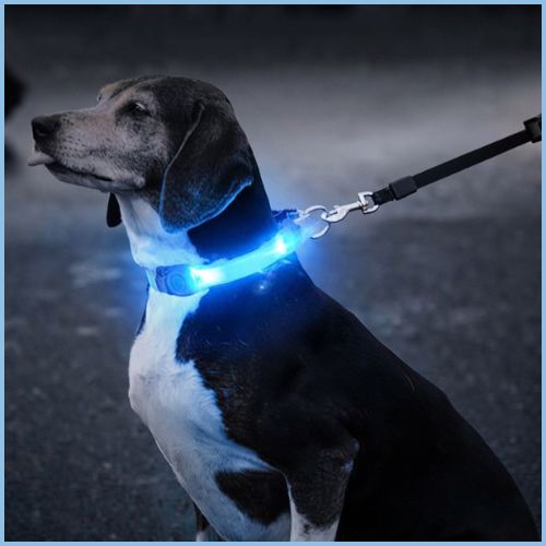 Collier-lumineux-chien-bande-en-LED-avec-attache-pratique-bleu