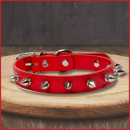 Collier_chien_rouge