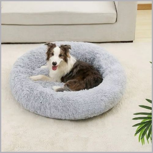 Coussin-chien-xxl-gris