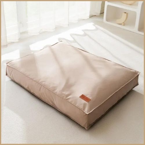 Coussin-dehoussable-pour-chien-beige