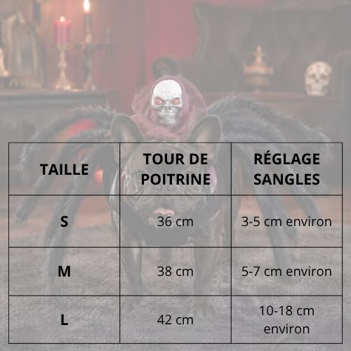 Deguisement-araignee-pour-chien-taille
