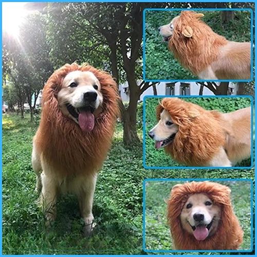 Deguisement-lion-pour-chien