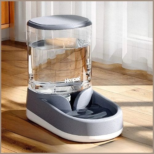 Distributeur d'eau pour chien | FontaineVive™