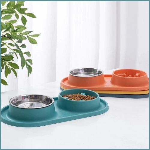 Gamelle-anti-gluoton-chien-vert