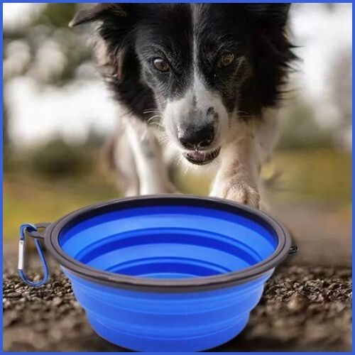 Gamelle-pliable-chien-bleu