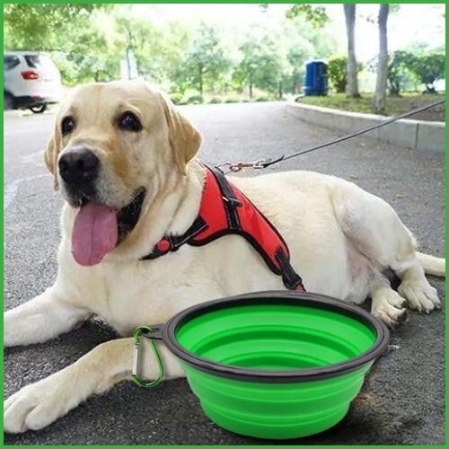 Gamelle-pliable-chien-vert