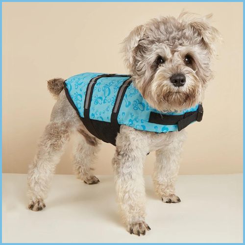 Gilet-de-sauvetage-chien-bleu
