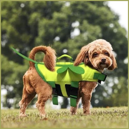 Gilet-de-sauvetage-pour-chien-vert