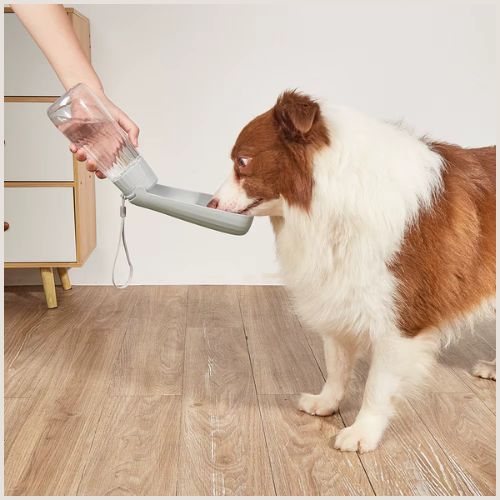 Gourde-pour-chien-550-ml-avec-abreuvoir-intégrée_gris-eau