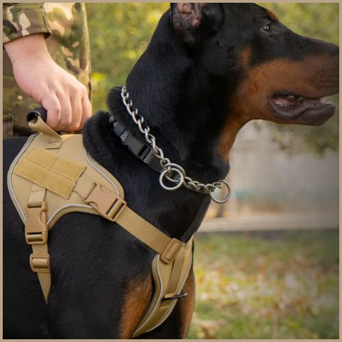 Harnais-anti-traction-chien_avec-poignée