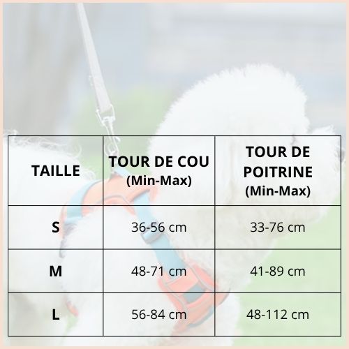 Harnais-chien-anti-traction-respirant-et-leger_taille