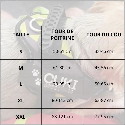 Harnais-chien-personnalisé-taille