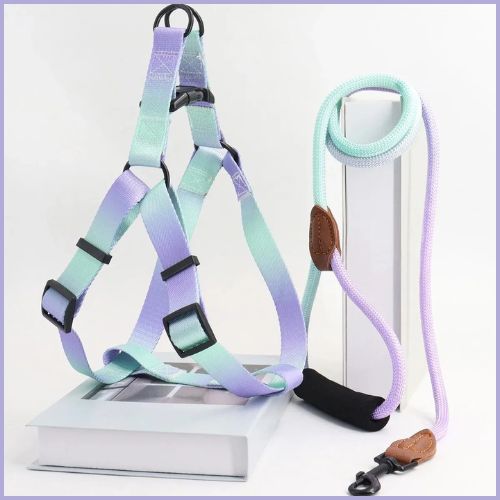 Harnais-pour-chien_violet