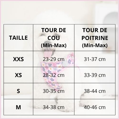 Harnais-pour-petit-chien-spécial-chiot-sensible-doux-et-léger