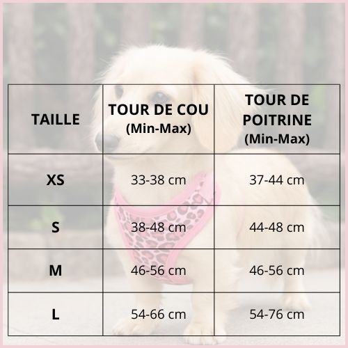 Harnais-pour-petit-chien_motif-léopard-ajustable-tailles