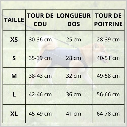 Harnais_de-levage-pour_chien_taille