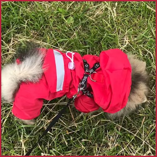 Impermeable-chien_salopette-rouge