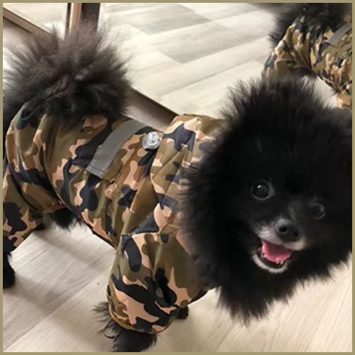 Impermeable-chien_salopette-vert-marron