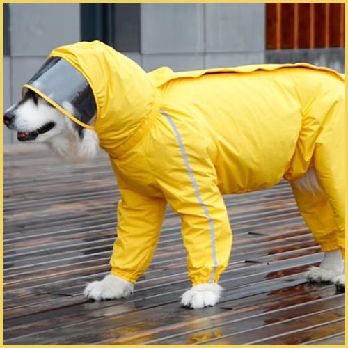 Imperméable-pour-chien_grande-taille-jaune-male