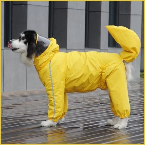 Imperméable-pour-chien_grande-taille-jaune-femelle