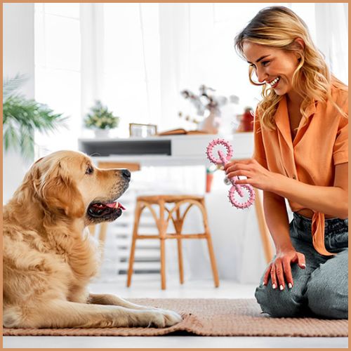 Jouet-pour-chien-anneau-à-mâcher-hygiène-dentaire-partage