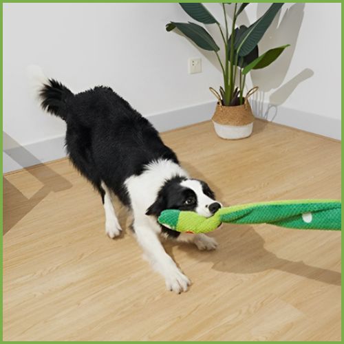 Jouet-pour-chien_vert-clair