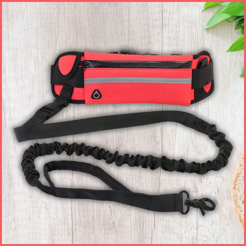 Laisse-main-libre-chien-rouge-noir
