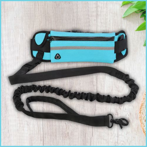 Laisse-main-libre-chien_turquoise