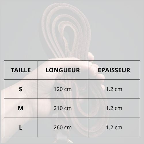 Laisse-pour-chien-en-cuir-véritable