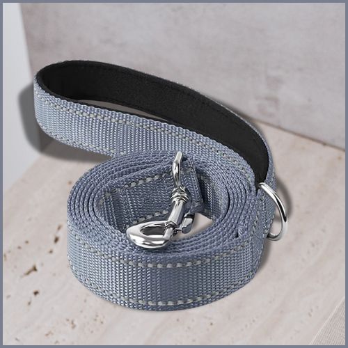 Laisse-pour-chien-gris