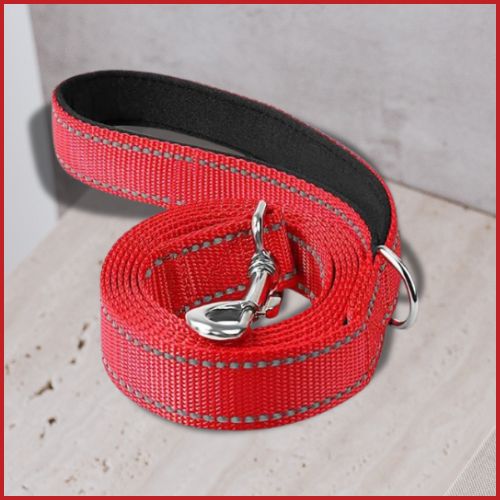 Laisse-pour-chien-rouge-noir