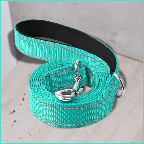 Laisse-pour-chien_vert