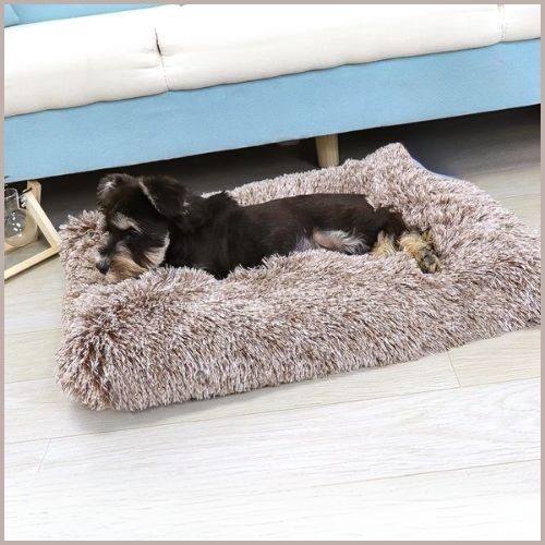 Lit-pour-chien-xxl-marron-clair