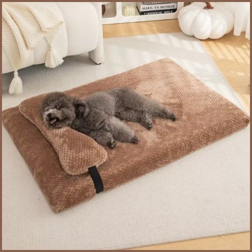 Lit-pour-chien-xxl-marron