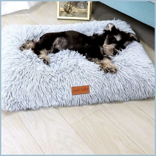 Lit-pour-chien-xxl-repos-gris