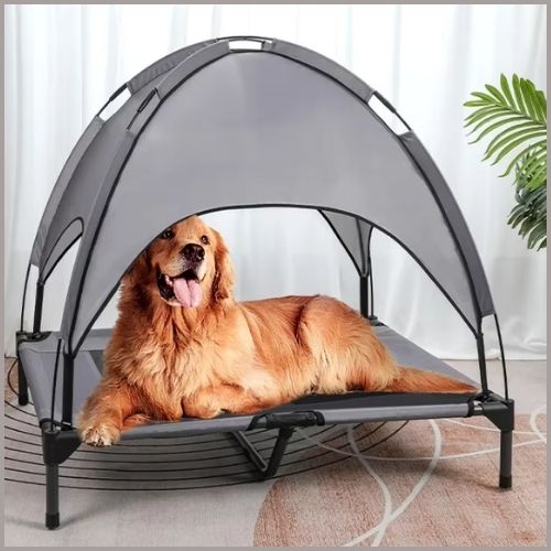 Lit_pour_chien_surélevé-chambre
