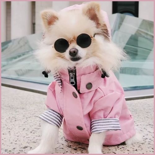 Manteau-chien-imperméable-rose