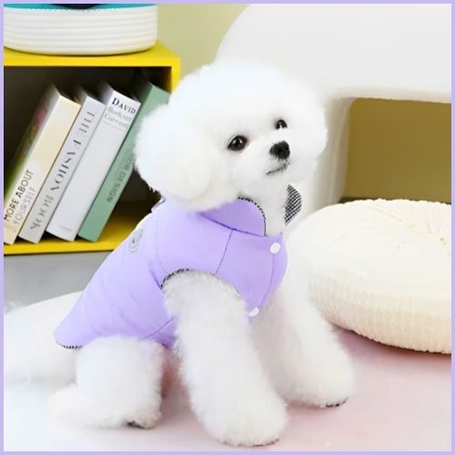 Manteau-pour-chien-rembourré-violet