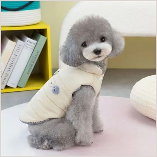 Manteau-pour-chien-rembourré_kaki