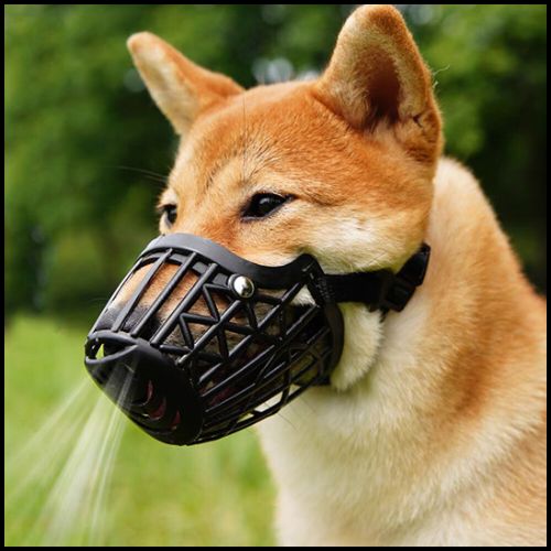 Museliere-pour-chien-panier-plastique-solide-noir