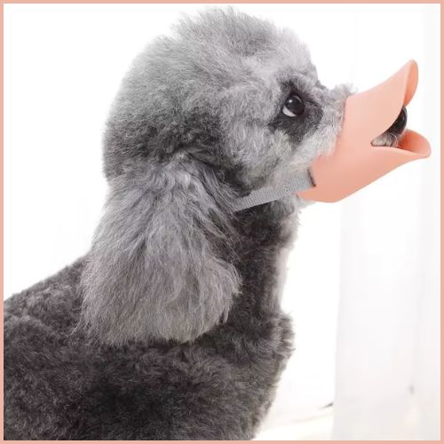 Muselière-chien_rose