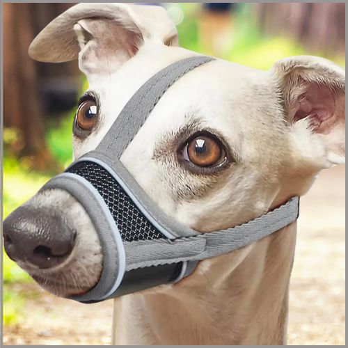 Museliere pour chien | Leo