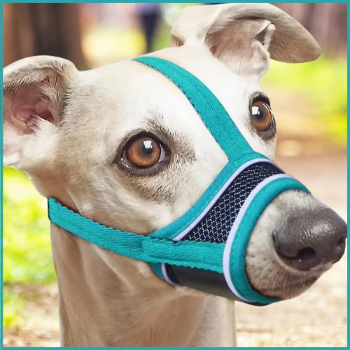 Museliere pour chien | Leo