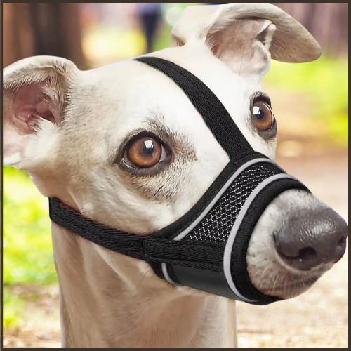 Museliere pour chien | Leo