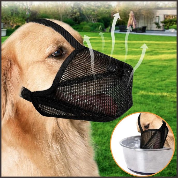 Muselière_pour_chien_respirant