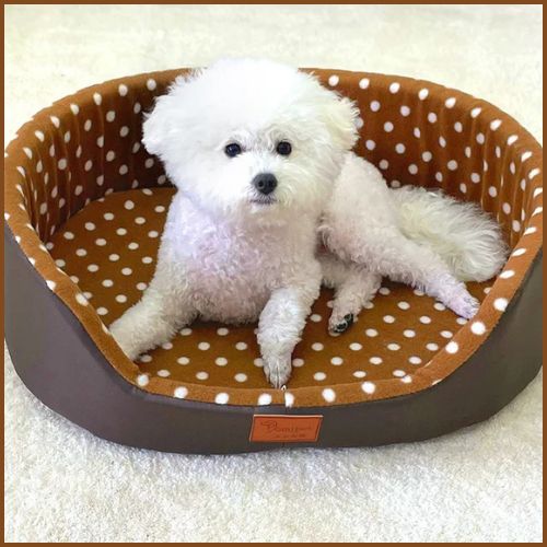 Panier-chien-réversible-beige